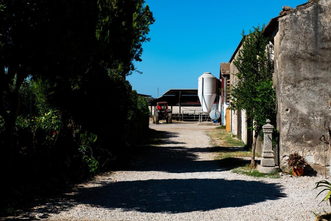 Dimora Iannelli - B&B Rurale Paestum Exterior photo